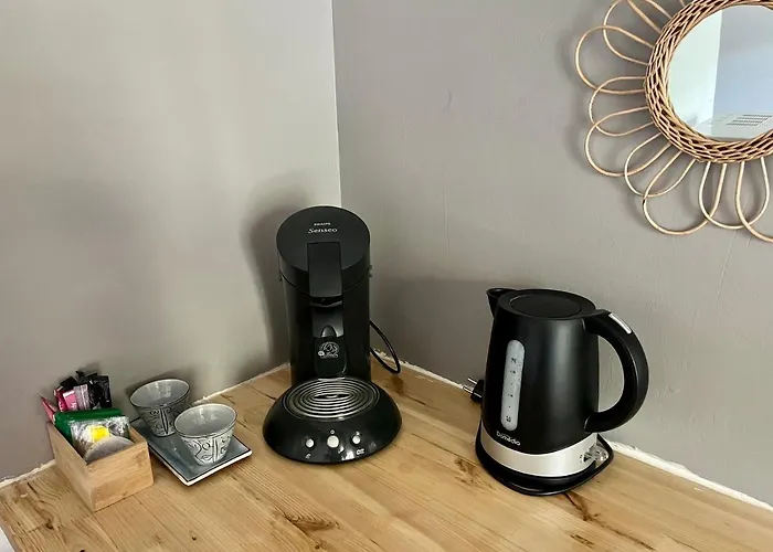 Les Glycines, Au Calme Dans Batisse De Maitre Proche Du Centre Parking Gratuit Appartamento Digne-les-Bains