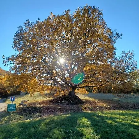 Apartamento Les Glycines, Au Calme Dans Batisse De Maitre Proche Du Centre Parking Gratuit *