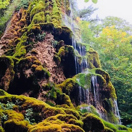 Les Glycines, Au Calme Dans Batisse De Maitre Proche Du Centre Parking Gratuit *