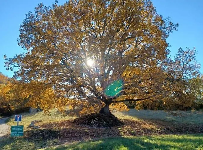 Appartement Les Glycines, Au Calme Dans Bâtisse De Maître Proche Du Centre Parking Gratuit *