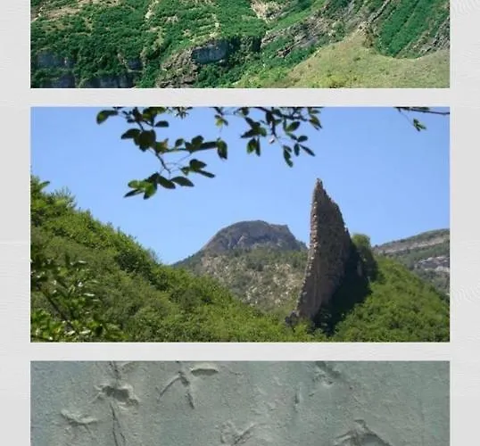 Appartement Les Glycines, Au Calme Dans Bâtisse De Maître Proche Du Centre Parking Gratuit *