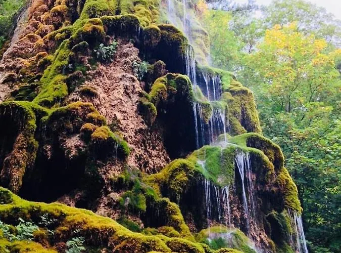 Les Glycines, Au Calme Dans Bâtisse De Maître Proche Du Centre Parking Gratuit *