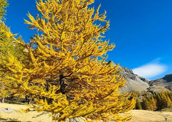 Les Glycines, Au Calme Dans Bâtisse De Maître Proche Du Centre Parking Gratuit Appartement *