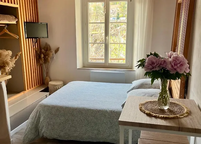 Les Glycines, Au Calme Dans Bâtisse De Maître Proche Du Centre Parking Gratuit *